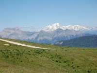 /album/galerie-de-photos-semenause/dsc-0239-jpg/