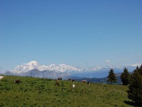 /album/galerie-de-photos-semenause/dsc-0242-jpg1/