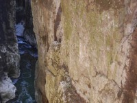 /album/les-gorges-du-fier/dsc-0147-jpg1/