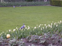 /album/paris/dscn3228-jpg/