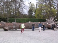 /album/paris/dscn3261-jpg/