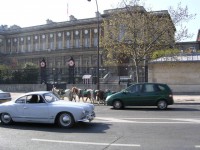 /album/paris/dscn3320-jpg/