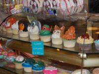 /album/new-york/dsc-0033-jpg/