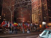 /album/new-york/dsc-0181-jpg/