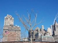 /album/new-york/dsc-0337-jpg/