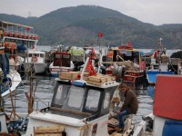 /album/istanbul/dsc-0047-jpg1/