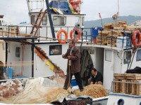 /album/istanbul/dsc-0048-jpg1/