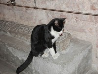/album/istanbul/dsc-0146-jpg1/