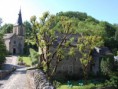 /album/galerie-de-photos-aveyron/dsc-0224-jpg1/